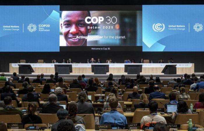 COP29: La Francia denuncia “un accordo deludente” e “non all’altezza delle sfide”