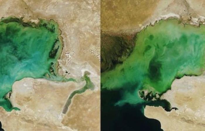 A Baku il preoccupante prosciugamento del Mar Caspio | Clima: a che punto siamo?