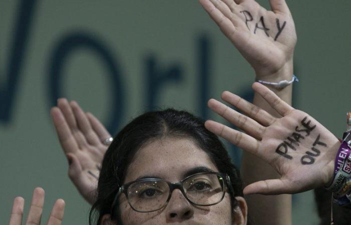 COP 29: 300 miliardi a sostegno del cambiamento climatico, un accordo controverso raggiunto a tarda notte