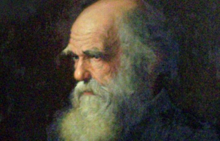 165 anni fa, Darwin e la rivoluzione dell’“Origine delle specie”.