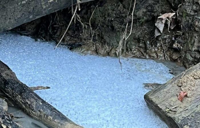 acqua blu, rifiuti di ogni tipo… forte inquinamento a Mont-Saint-Martin