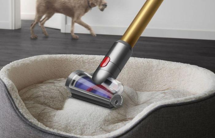 Questo aspirapolvere Dyson V12 Detect Slim beneficia di un prezzo che nessuno si aspettava