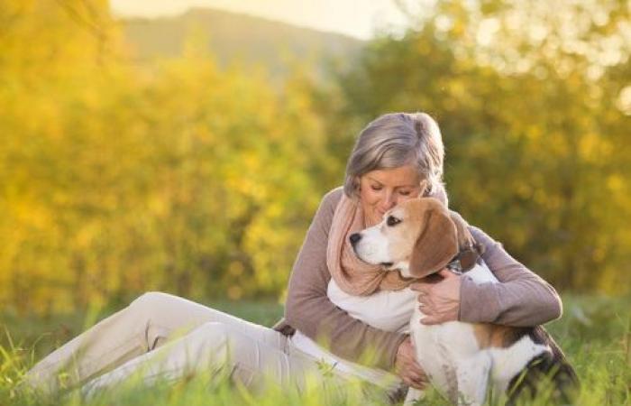 Cani per la rilevazione del cancro: una rivoluzione medica in corso