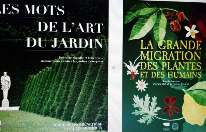 Idee regalo per Natale: regala un libro sui giardini