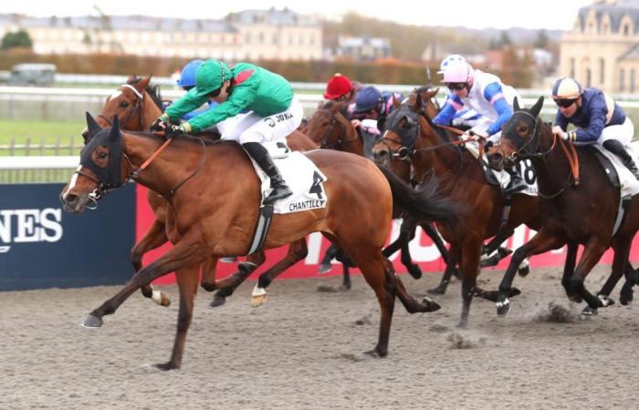 Ashiyma vince il Premio Cerere a Chantilly