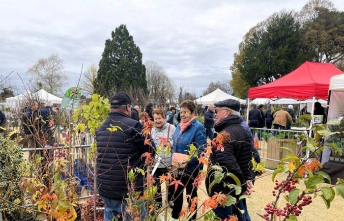 “un mercato vegetale di fascia alta” atteso con impazienza nel Maine-et-Loire