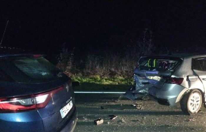 Un cinghiale provoca lo scontro tra due auto all'incrocio di Deux-Sèvres: uno ferito