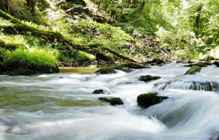 “Regards sur la Nature en Centre-Val de Loire”: un bellissimo libro alla scoperta dei nostri ambienti naturali