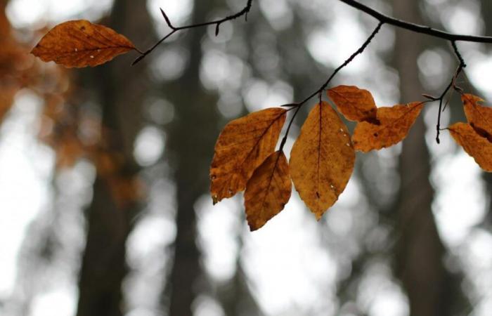 temperature in aumento, venti forti… Che tempo ci aspetta all’inizio della settimana?