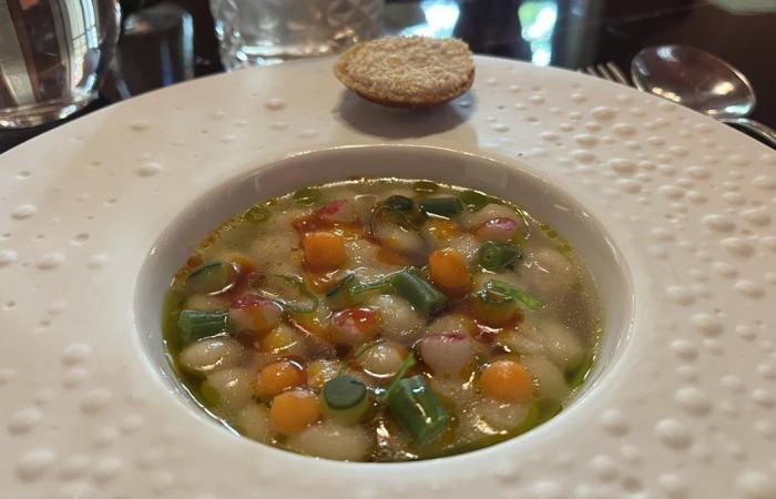 NÎMES Un pranzo a Le Rouge: un'avventura deliziosa