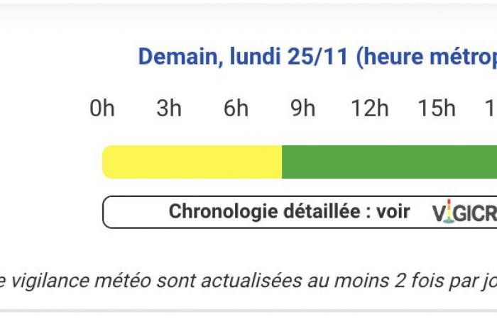 Allerta meteo per venti violenti questo lunedì 25 novembre nei Pirenei Atlantici, Alti Pirenei, Gers, Alta Garonna, Ariège, Tarn-et-Garonne