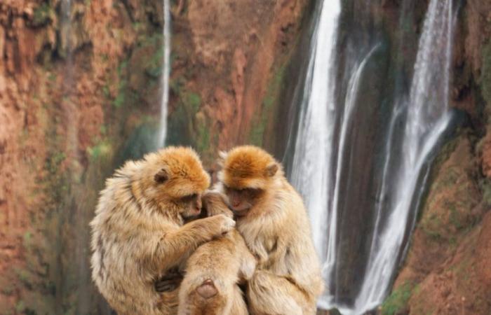 Le 10 migliori meraviglie naturali del Marocco secondo Le Figaro