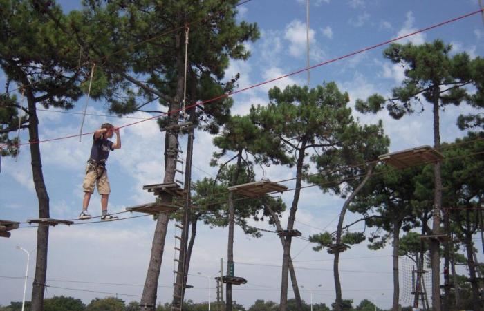 Dall'arrampicata sugli alberi a Meschers o Saint-Georges-de-Didonne, non è scontato!