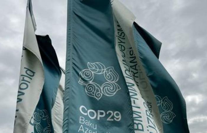 “Questa COP29 è stata un vero spreco”, denuncia Climate Action Network