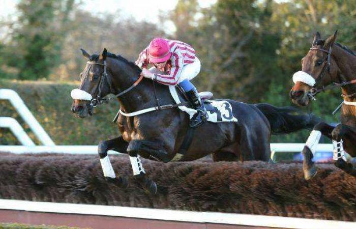 Pronostico gratuito per la NATIONAL STEEPLE-CHASE ANGLO-ARABA