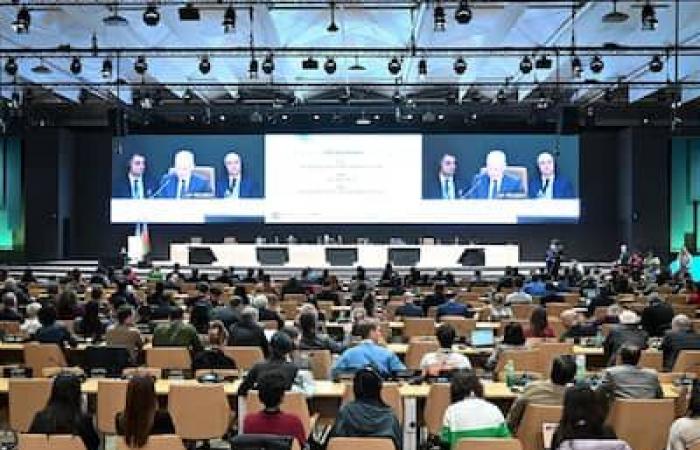 COP29: quale futuro per la graduale uscita dai combustibili fossili?