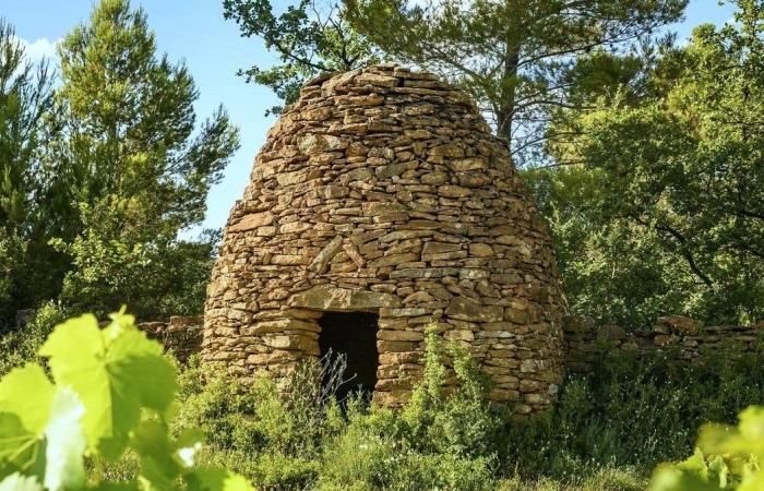 GARD I Vignerons des Capitelles si abbinano ai vostri pasti di fine anno