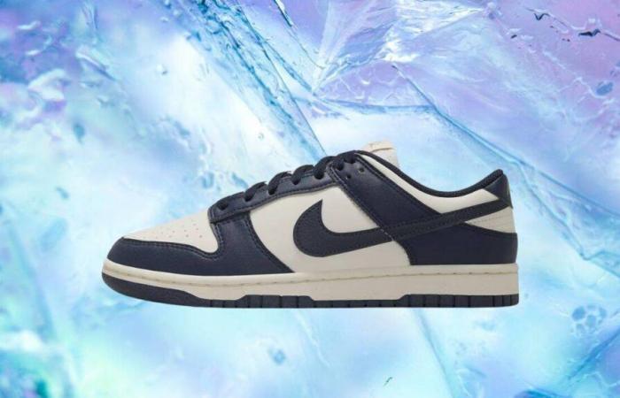 Concediti finalmente la Nike Dunk Low Next Nature questa domenica a un prezzo stracciato