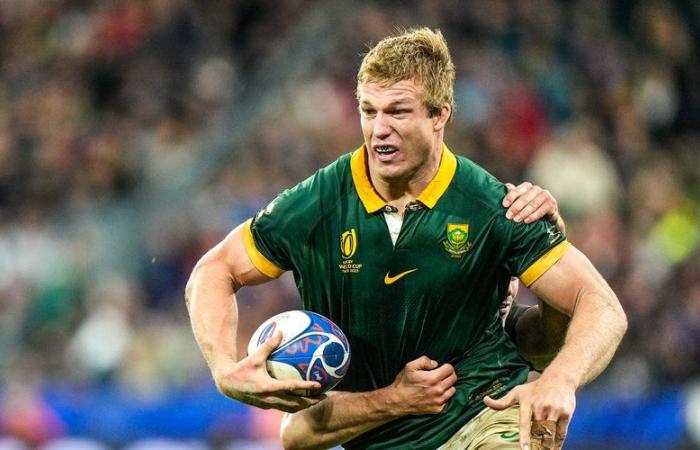 World Rugby Awards – Il sudafricano Pieter-Steph du Toit è votato miglior giocatore del mondo, nessun francese nel XV dell’anno