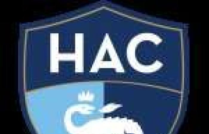 Auxerre al traguardo, Le Havre mette in crisi il Nantes – Ligue 1 – J12