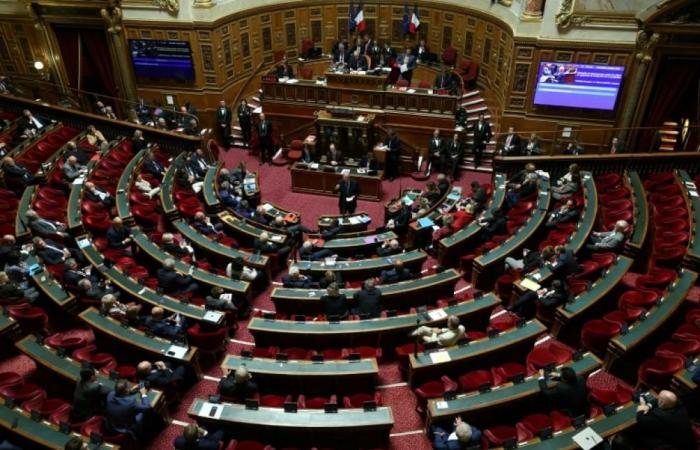 La Finanziaria al Senato, ultime ore serene per un governo in prestito