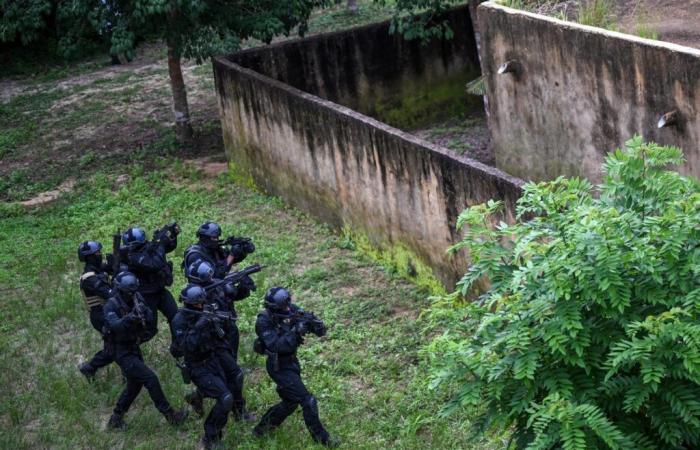 Smantellata in Costa d'Avorio e in Madagascar una rete dello Stato islamico che voleva raggiungere l'Europa