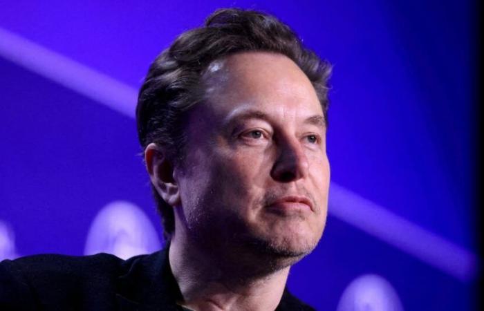 TikTok cerca aiuto da Musk in vista della presa del potere da parte di Trump