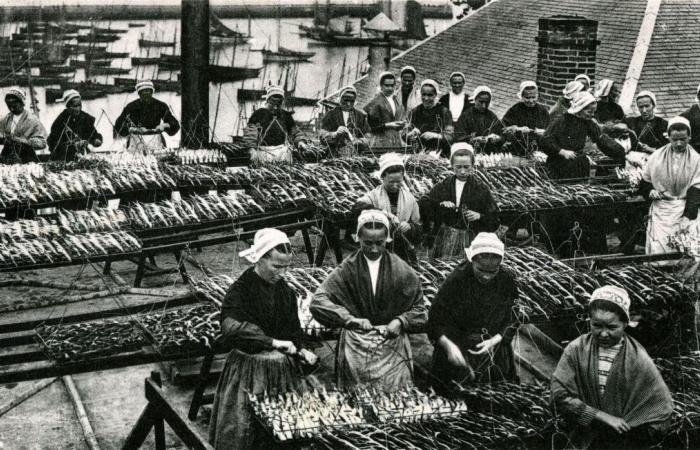 Come la pesca “sfruttata” delle sardine di Douarnenez ha costretto i datori di lavoro a piegarsi