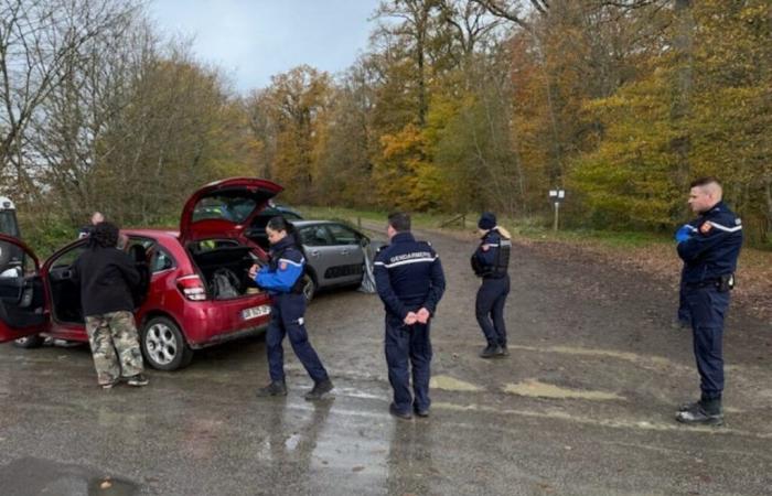 Un rave party nell'Orne riunisce illegalmente 200 persone nella foresta della Bourse