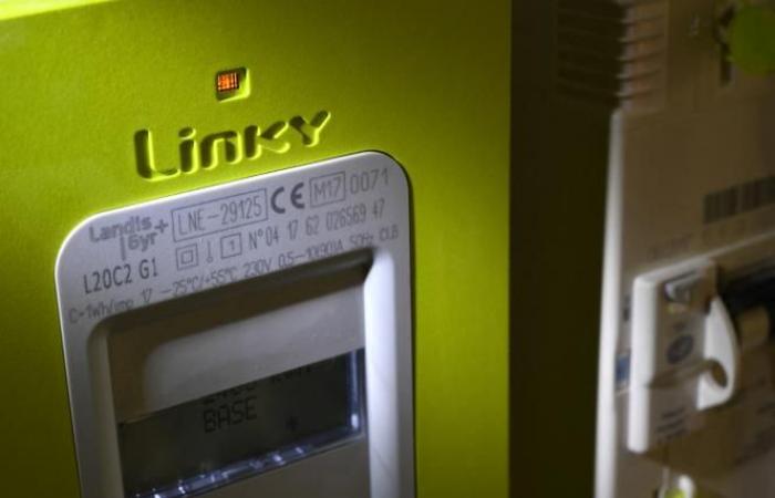 tariffe in prospettiva per tutti gli anti-Linky dal 2025