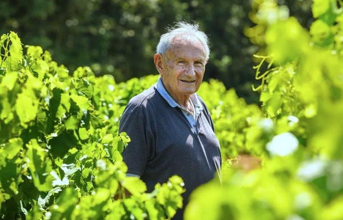 GARD I Vignerons des Capitelles si abbinano ai vostri pasti di fine anno