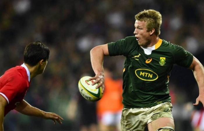 Rugby. Pieter-Steph du Toit nominato giocatore 15 dell’anno