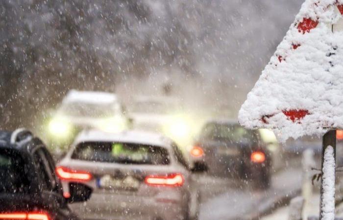 Tempesta Caetano: “Lo trovo vergognoso!” Autostrada bloccata tutta la notte dalla neve, automobilisti costretti a pagare il pedaggio