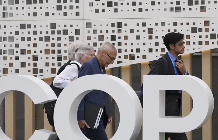 Accordo COP29: la delegazione svizzera parla di “successo”