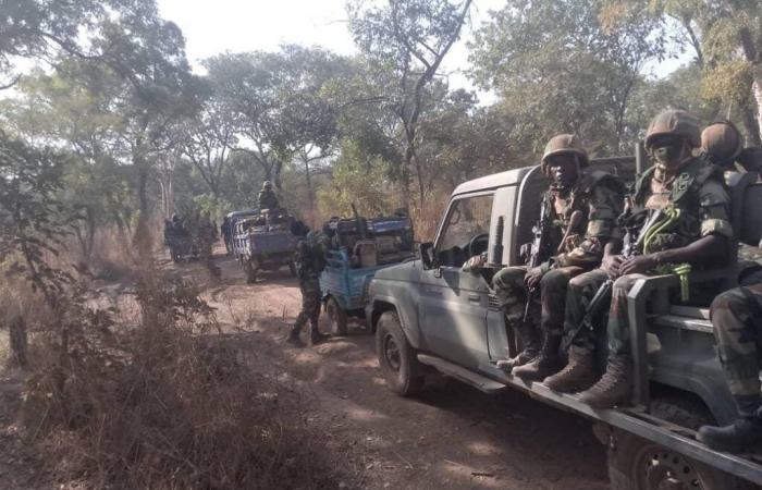 Senegal-Falémé: smantellati in 48 ore 2 siti clandestini per la ricerca dell’oro | APAnews