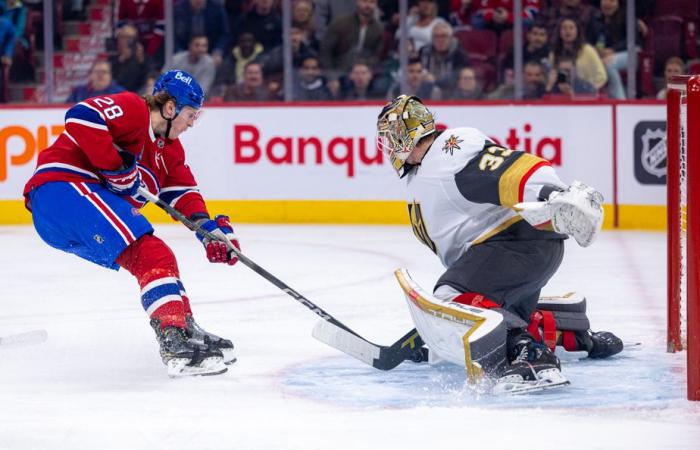 Cavalieri d’oro-canadese | Una partita e un’audizione per il Four Nations Showdown?