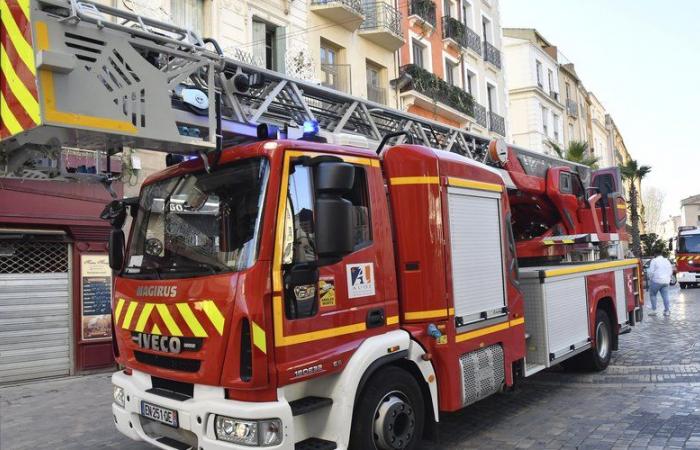 Due incendi si sono verificati contemporaneamente a Narbonne e sono stati rapidamente domati