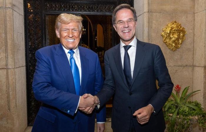 Il capo della NATO Rutte e Trump discutono di questioni di sicurezza