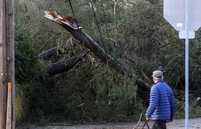 Le tempeste invernali spazzano gli Stati Uniti mentre per il Ringraziamento è previsto un nuovo sistema: NPR