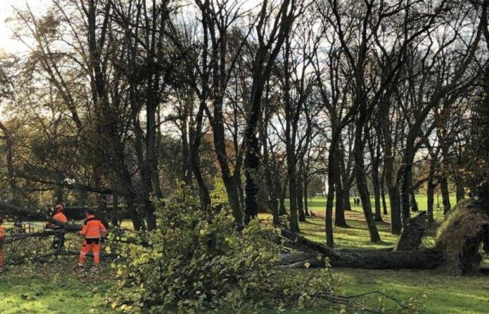 Tempesta Bert. Nuova vigilanza gialla per la Loira Atlantica: cosa aspettarsi?