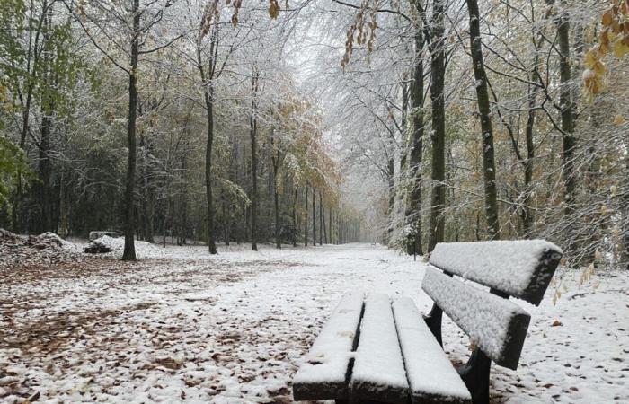 Dopo la neve e il vento, il parco di questo castello dell'Orne è chiuso tutta la settimana