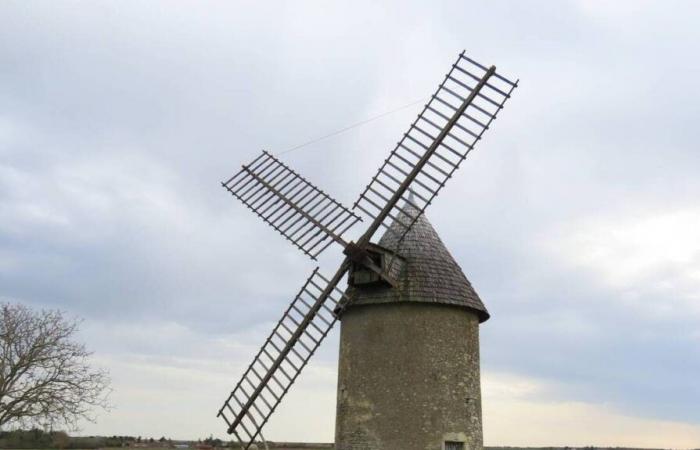 Tempesta Caetano. Tra Deux-Sèvres e Vienne, il mulino di Tol ha perso un'ala