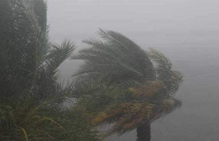 Allerta maltempo oggi: una notte invernale molto fredda e piovosa raggiunge il Cairo