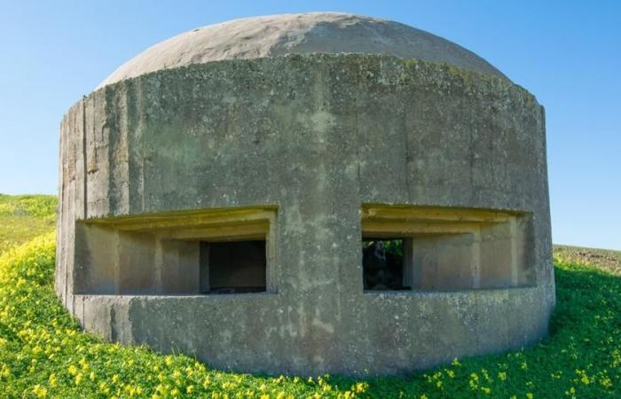 La Germania elenca “tutti gli edifici che potrebbero servire da rifugio” in caso di attacco