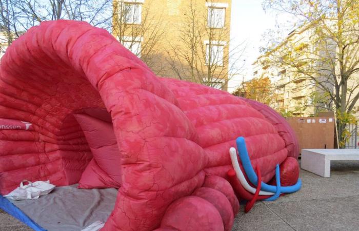 Tolosa. Una prostata gigante installata in una clinica per sensibilizzare sullo screening del cancro