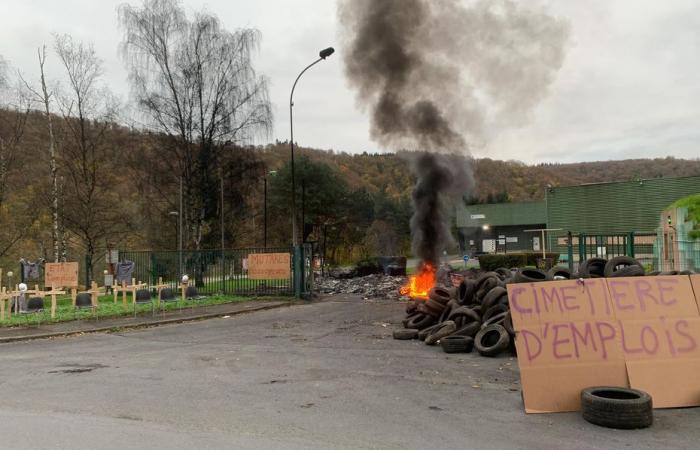 gli stabilimenti Walor di Vouziers e Bogny-sur-Meuse, acquistati da Forgex