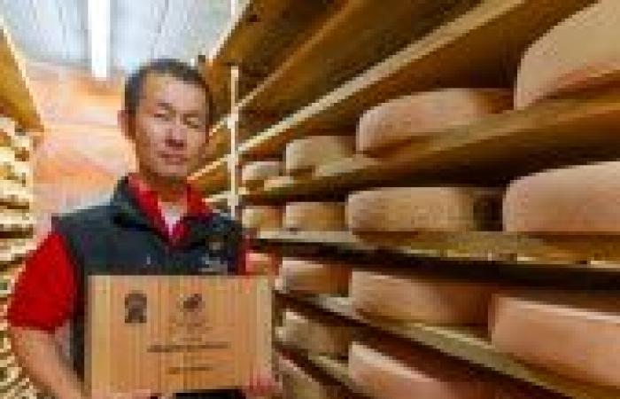 Elenco premi. Tomme e Raclette de Savoie: scopri i migliori produttori