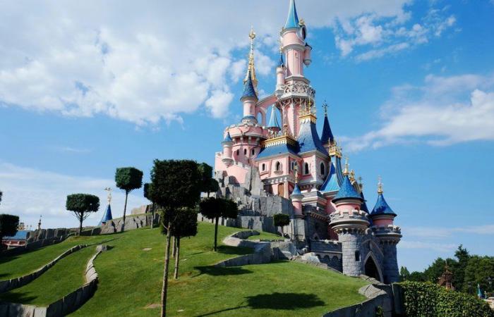 Fine del prezzo unico e fino a 175€ per l’ingresso giornaliero, abbonamento prioritario, sfilata a pagamento… La nuova politica dei prezzi di Disneyland provoca le proteste dei fan