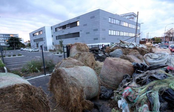 La rabbia degli agricoltori: cosa aspettarsi questo martedì nel Tarn-et-Garonne?