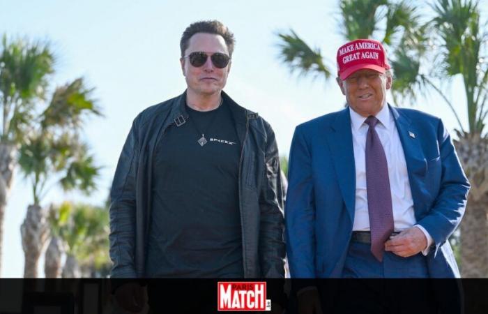 Mark Hamill, Barbra Streisand, Stephen King… Queste celebrità che hanno lasciato X dall’elezione di Donald Trump